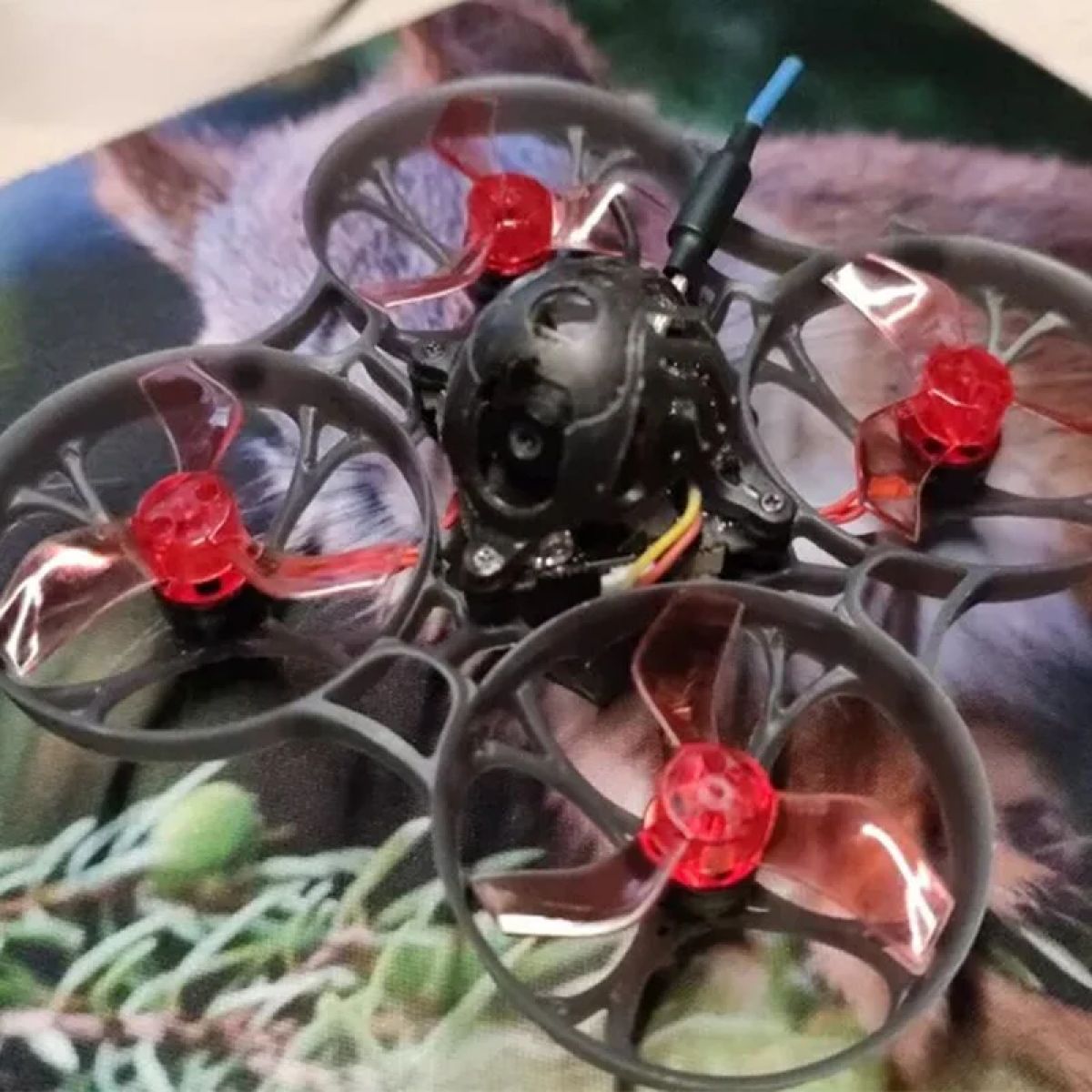 8/16 пар пропеллеров Gemfan 1635 1.6x3.5x3 3-лопастные PC 1/1.5мм 40мм CW/CCW для FPV Tinywhoop 1103/1105 8/16 пар пропеллеров Gemfan 1635 1.6x3.5x3 3-лопастные PC 1/1.5мм 40мм CW/CCW для FPV Tinywhoop 1103/1105